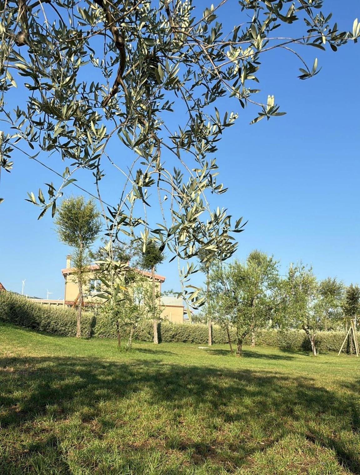 Hotel Masseria Spinale Wine